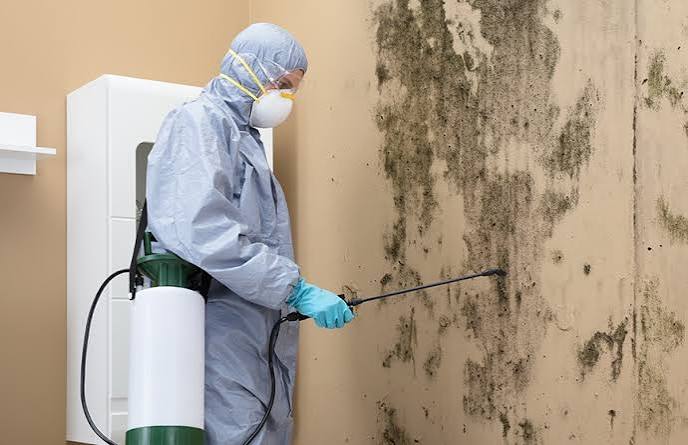 Technician applying antimicrobial treatment to a mold-affected commercial building wall