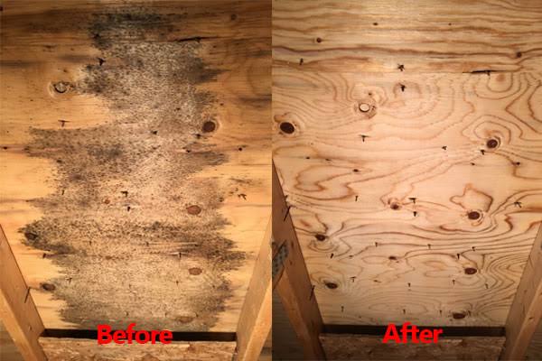 Before and after view of mold-affected wood decking cleaned and treated