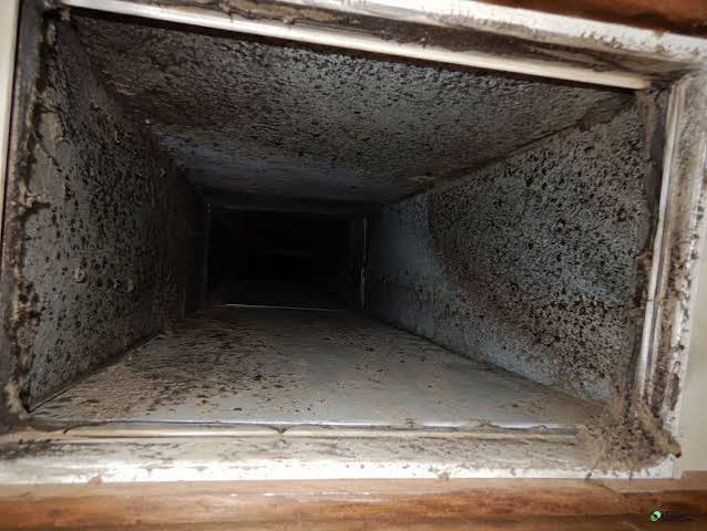 Mold and debris buildup inside an HVAC air duct in need of remediation