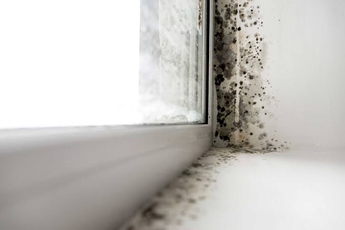 Condensation-driven mold growth on a window frame and sill, a common moisture-control issue
