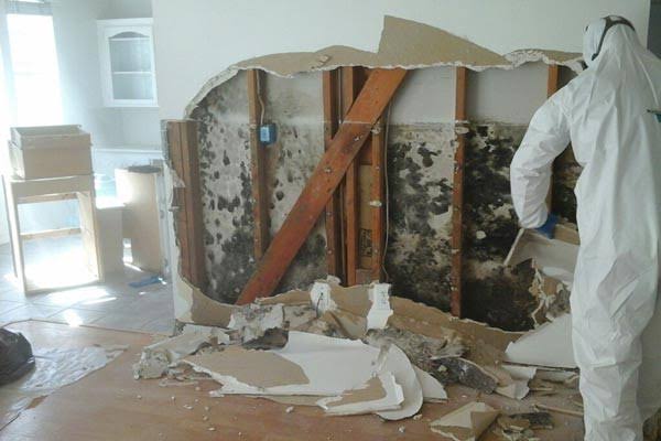 Remediation technician in PPE removing mold-contaminated drywall down to the studs